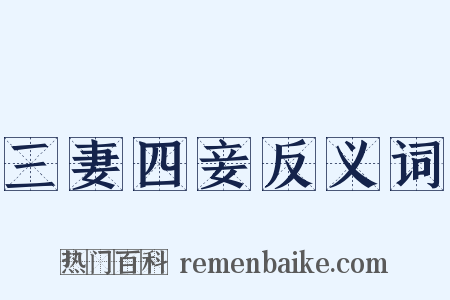 三妻四妾反义词是什么意思的图片